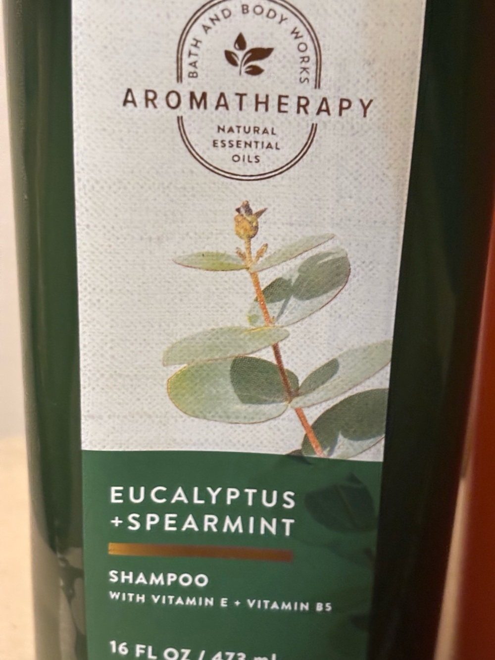 Bath & Body Works Champagne Apple & Honey -Eucalyptus & Spearmint Moist Shampoo - Picture 7 of 11